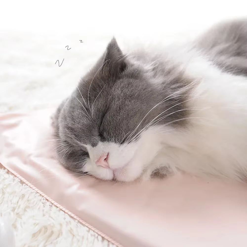 Cozy Winter Pet Heating Blanket - Waterproof, Wear-Resistant, and Temperature-Controlled Mattress for Dogs and Cats